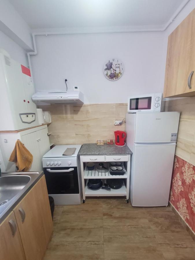 Morii Lake Special Apartment Bucarest Exterior foto